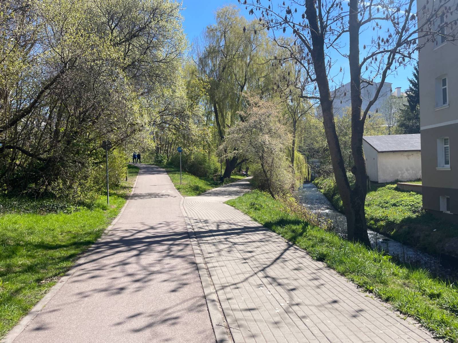 Zdjęcie 2