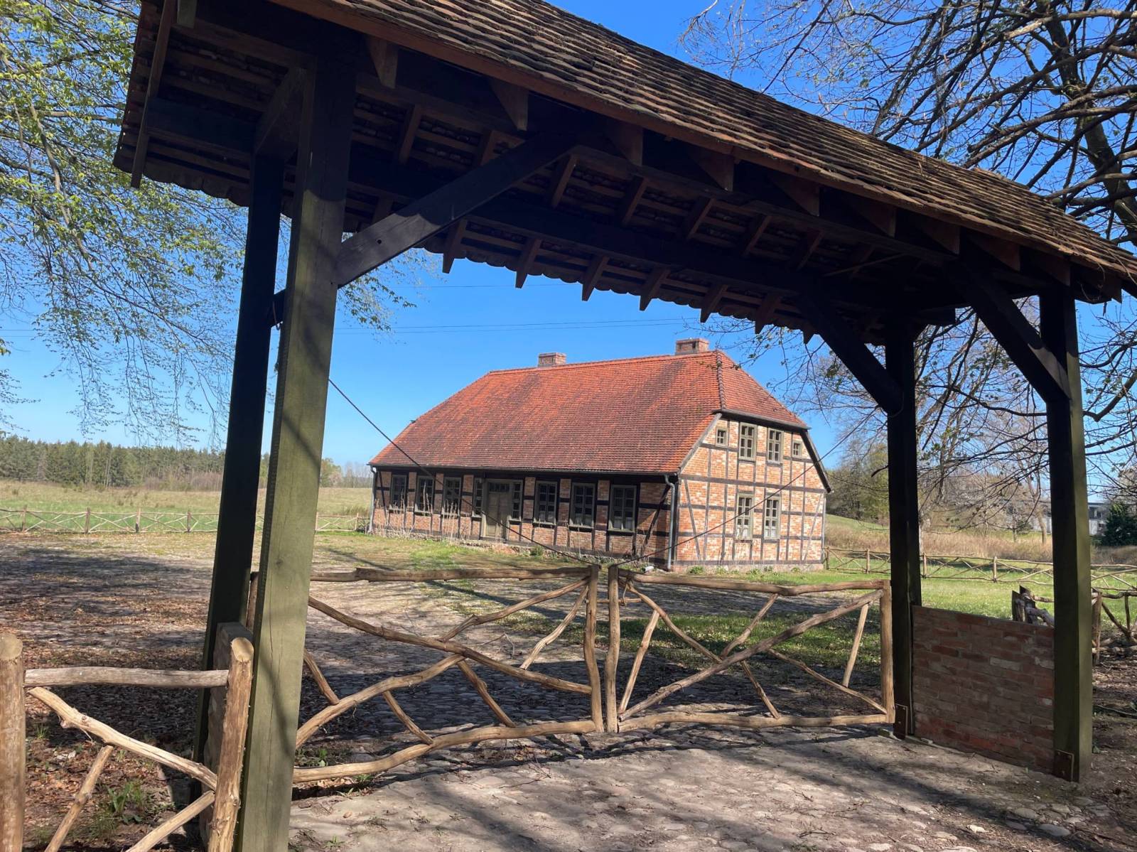 Zdjęcie 5