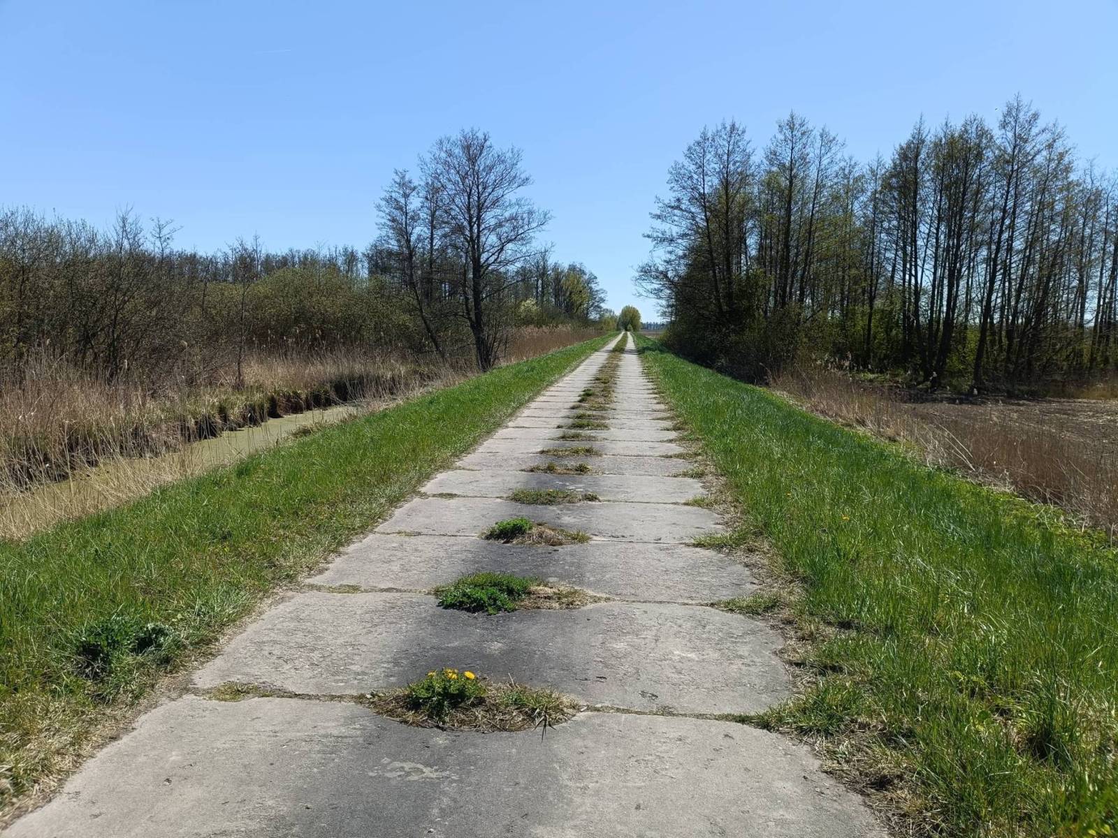 Zdjęcie 6