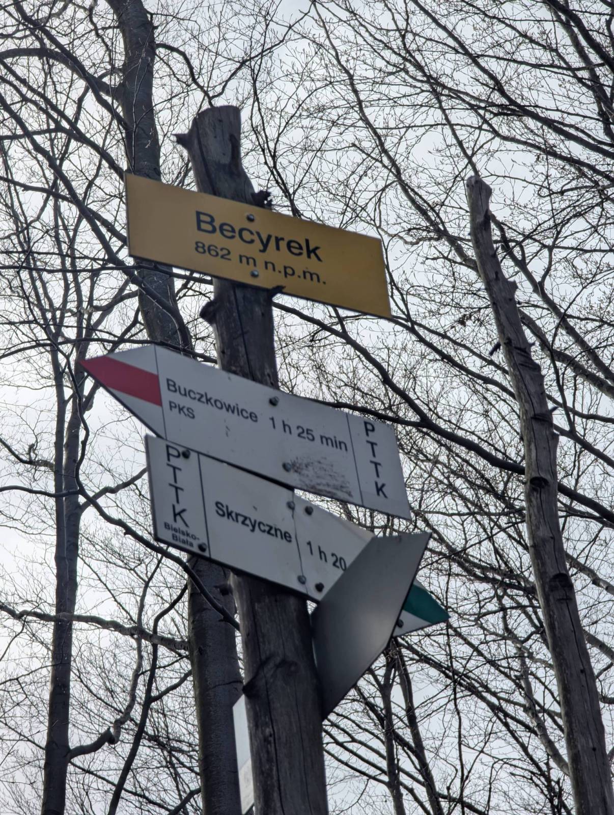 Zdjęcie 3