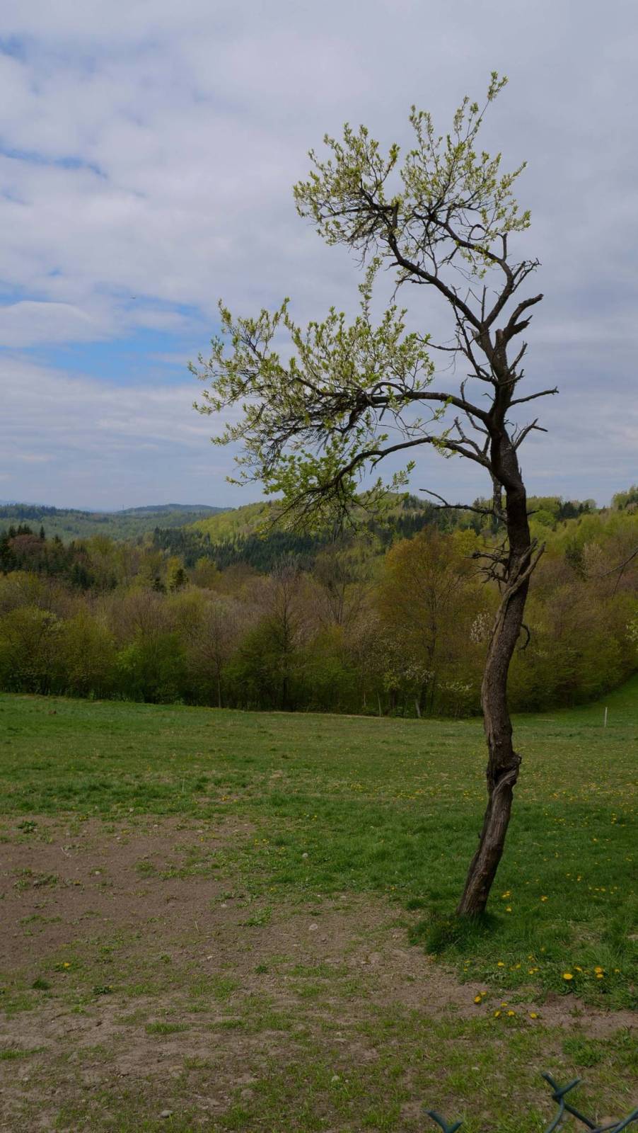 Zdjęcie 4