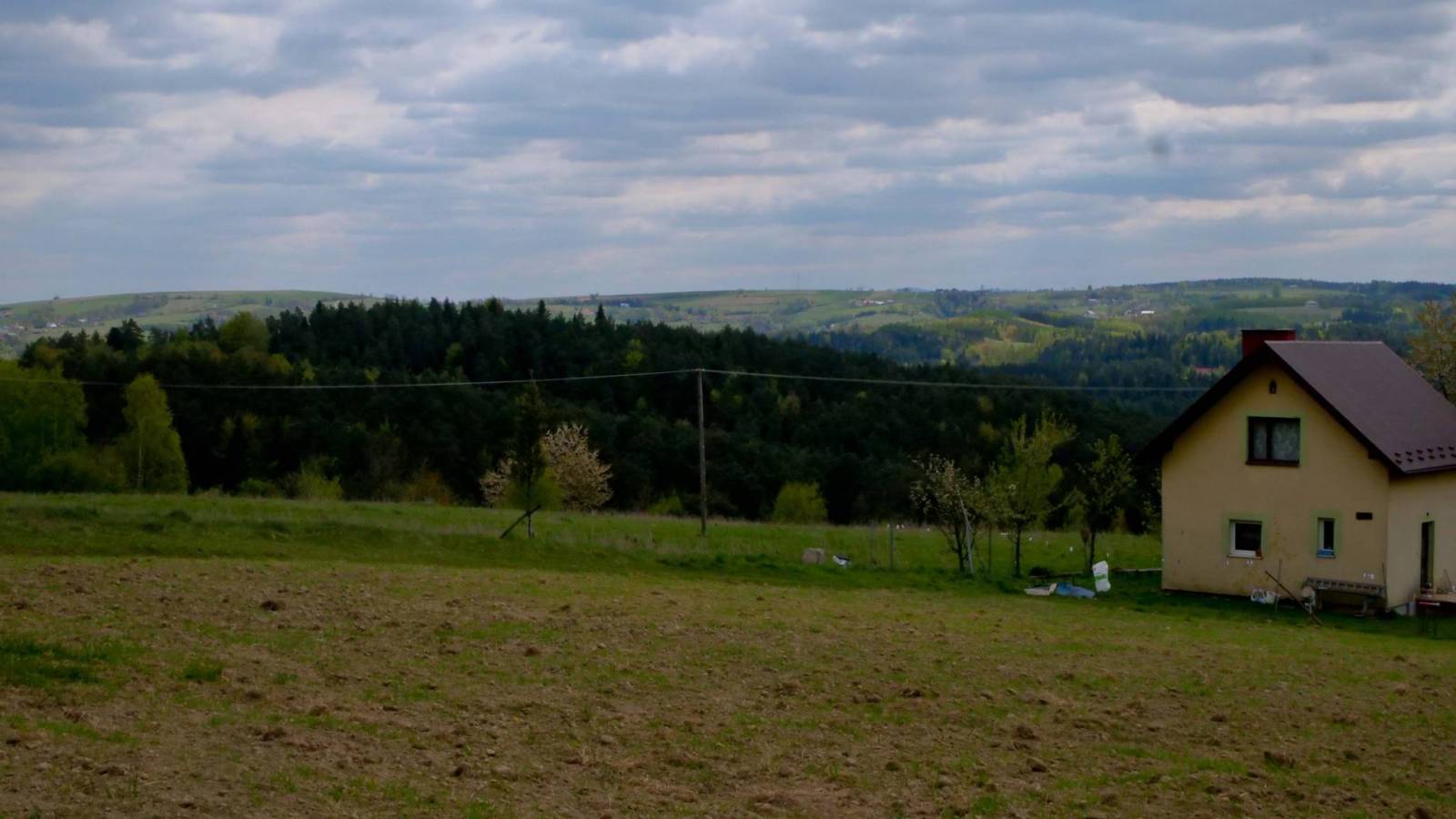 Zdjęcie 5