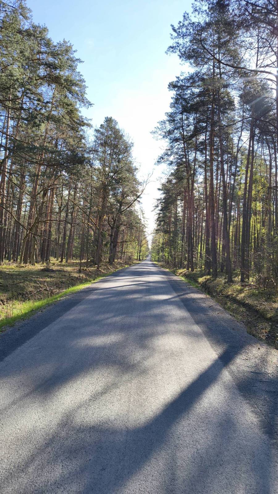 Zdjęcie 5