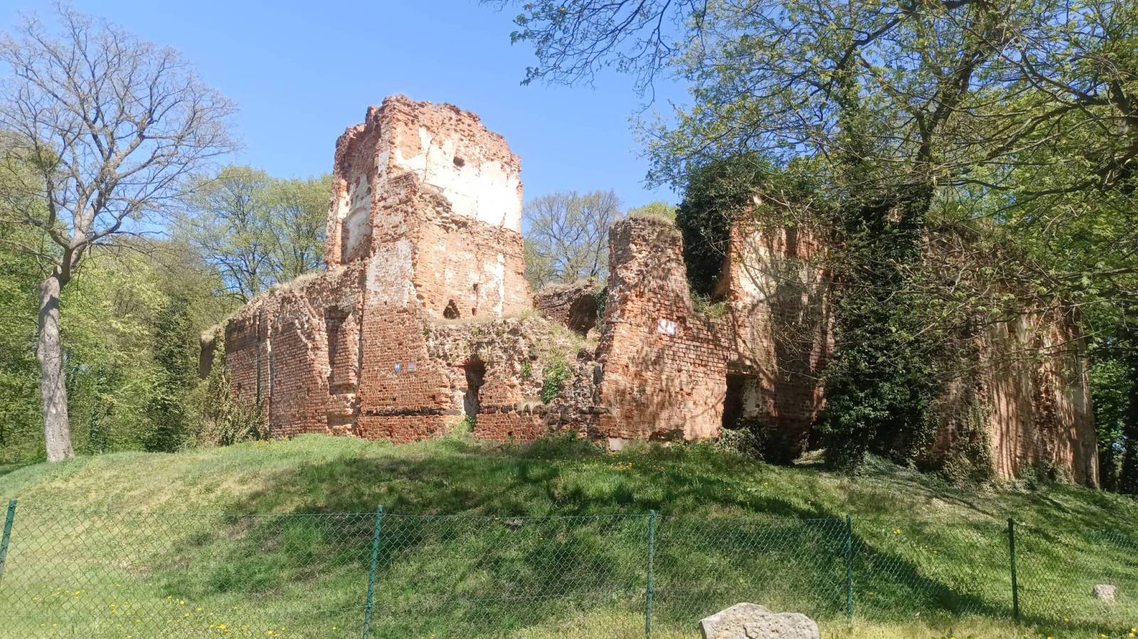 Zdjęcie 2