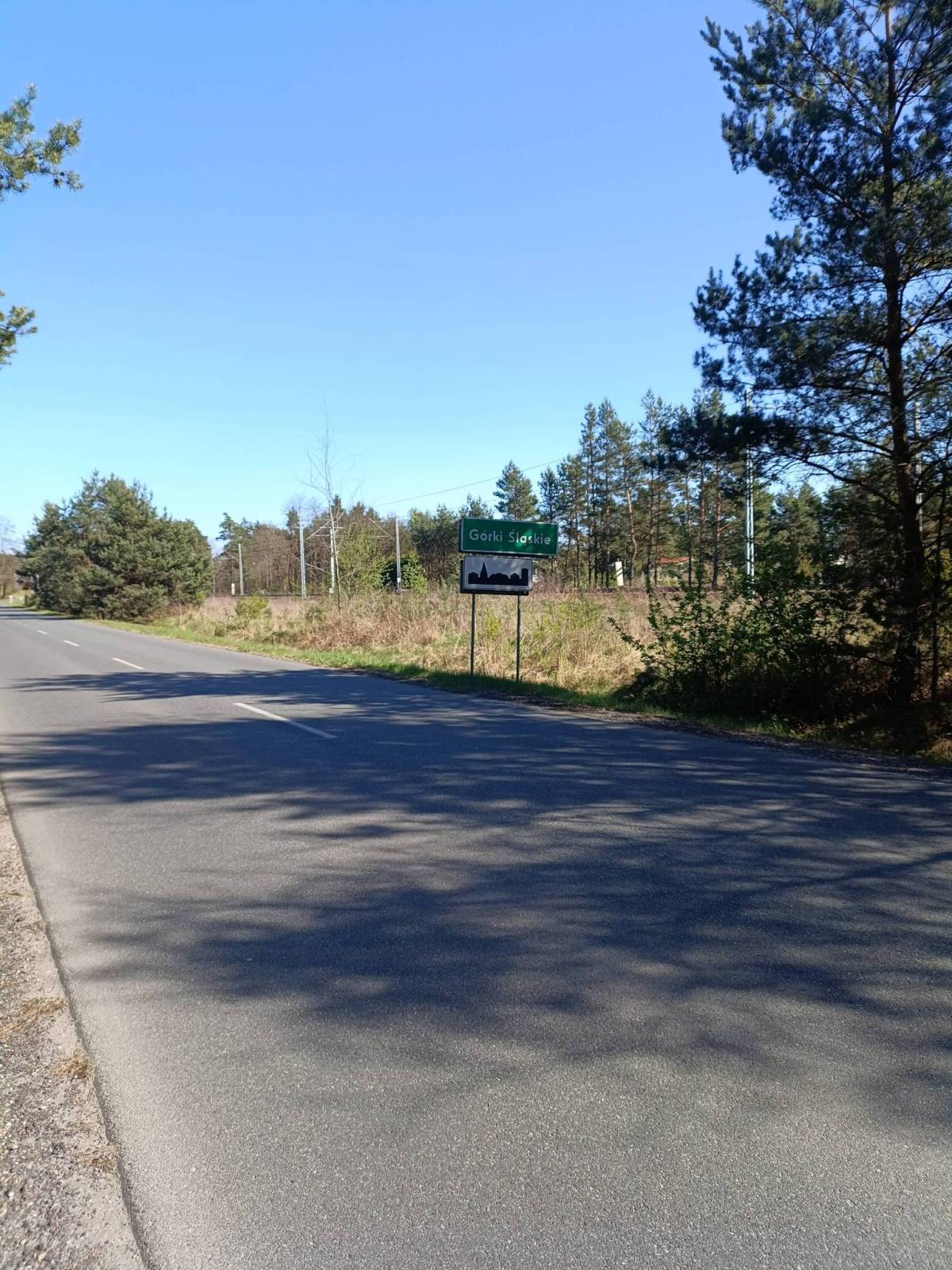 Zdjęcie 1