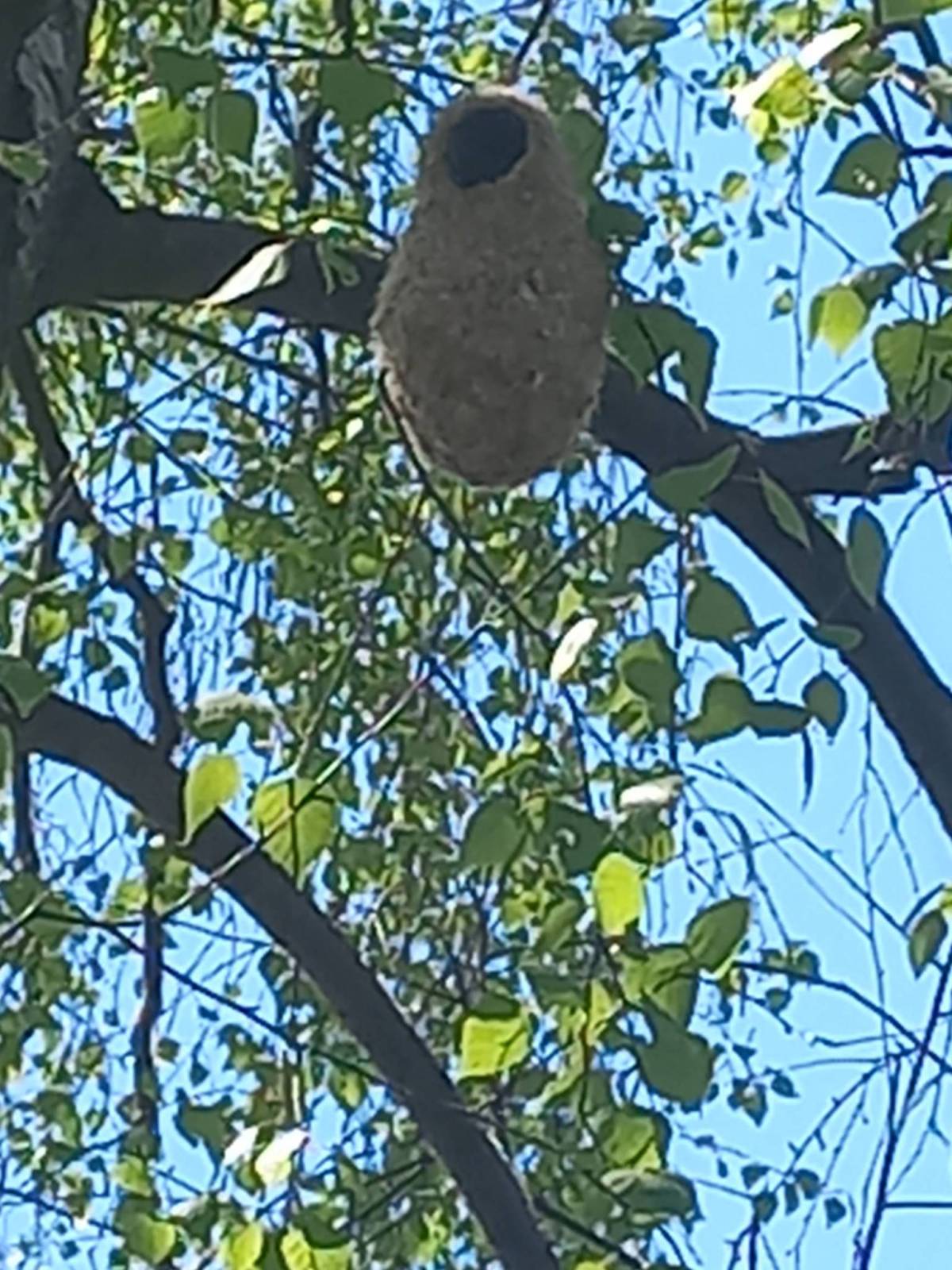 Zdjęcie 1