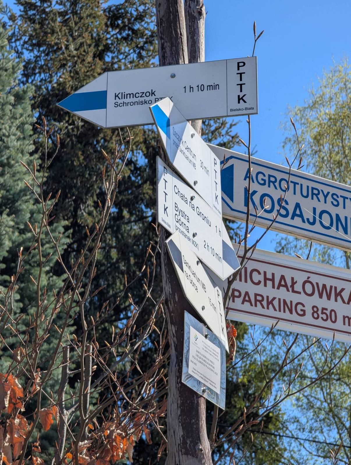 Zdjęcie 6