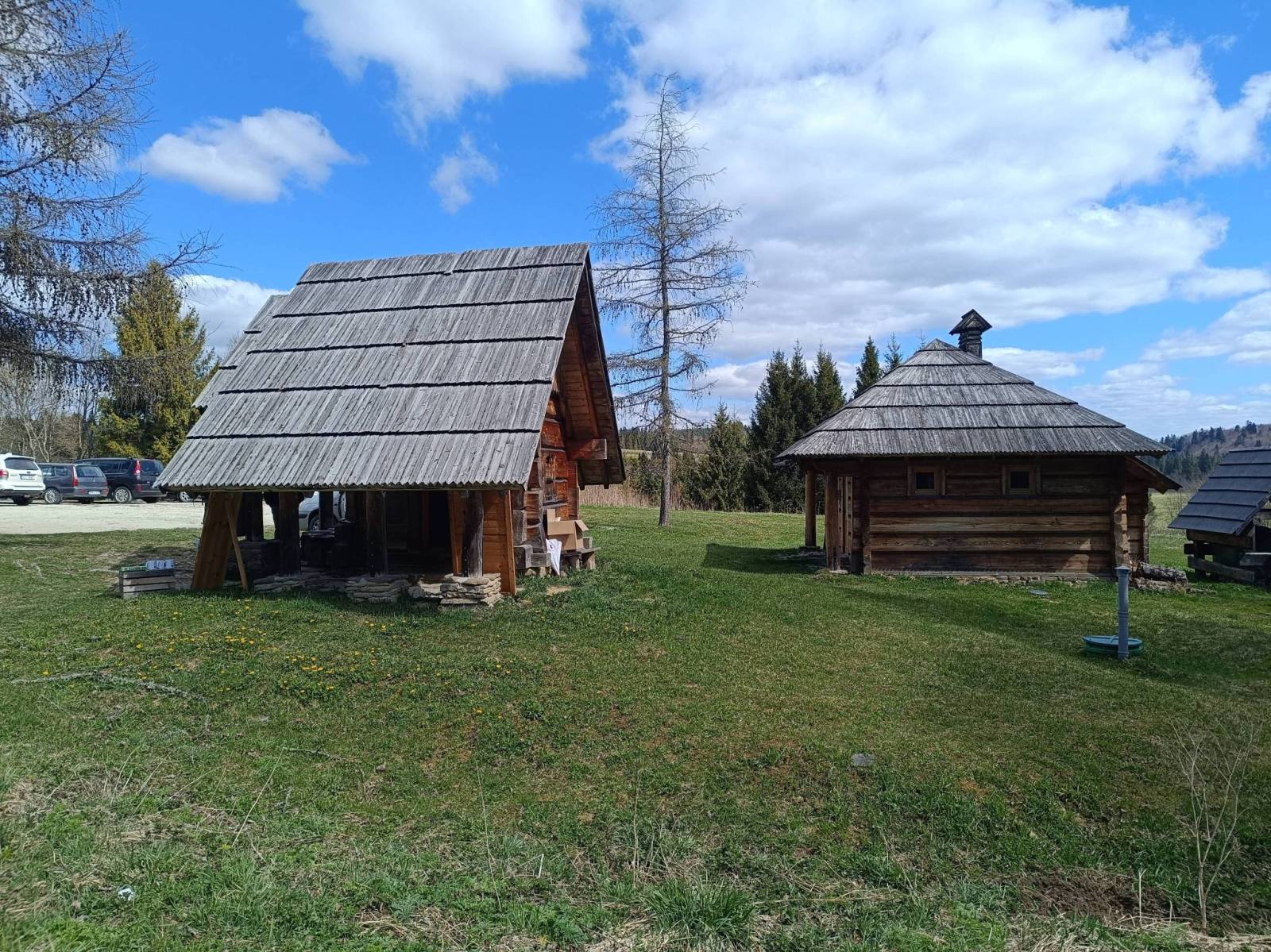 Zdjęcie 1