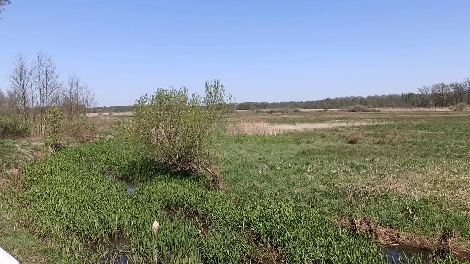Zdjęcie 1