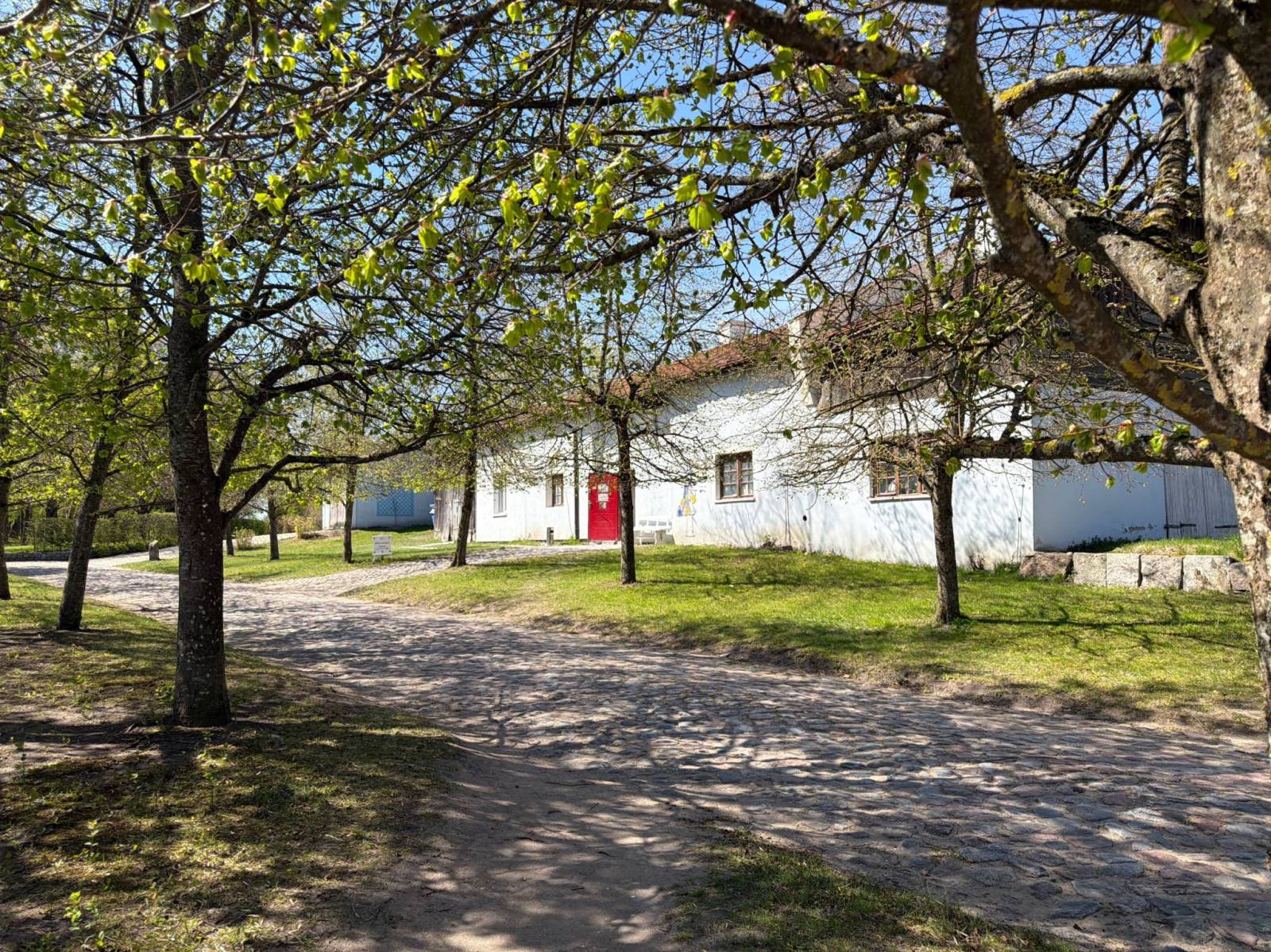 Zdjęcie 3