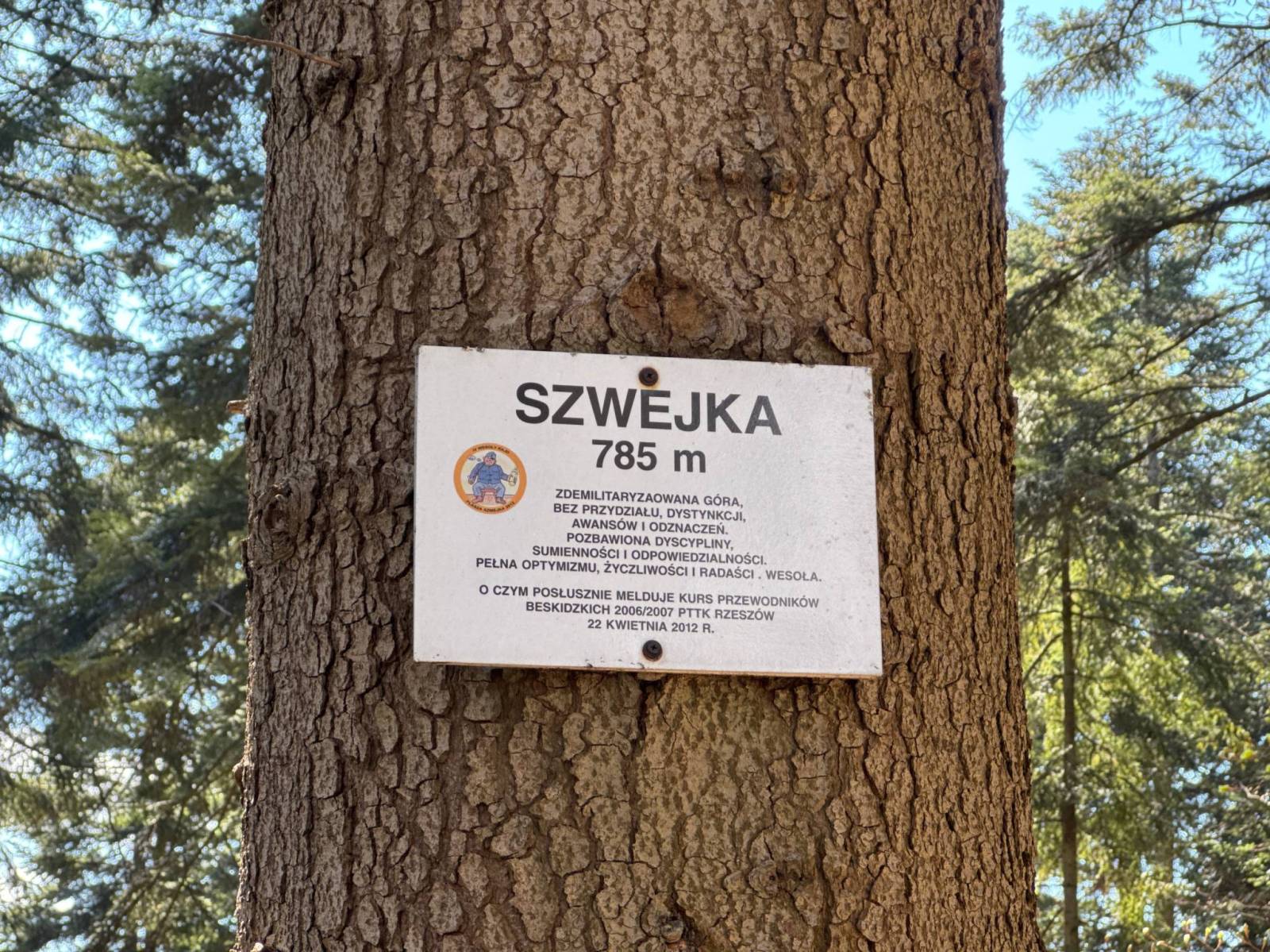 Zdjęcie 4