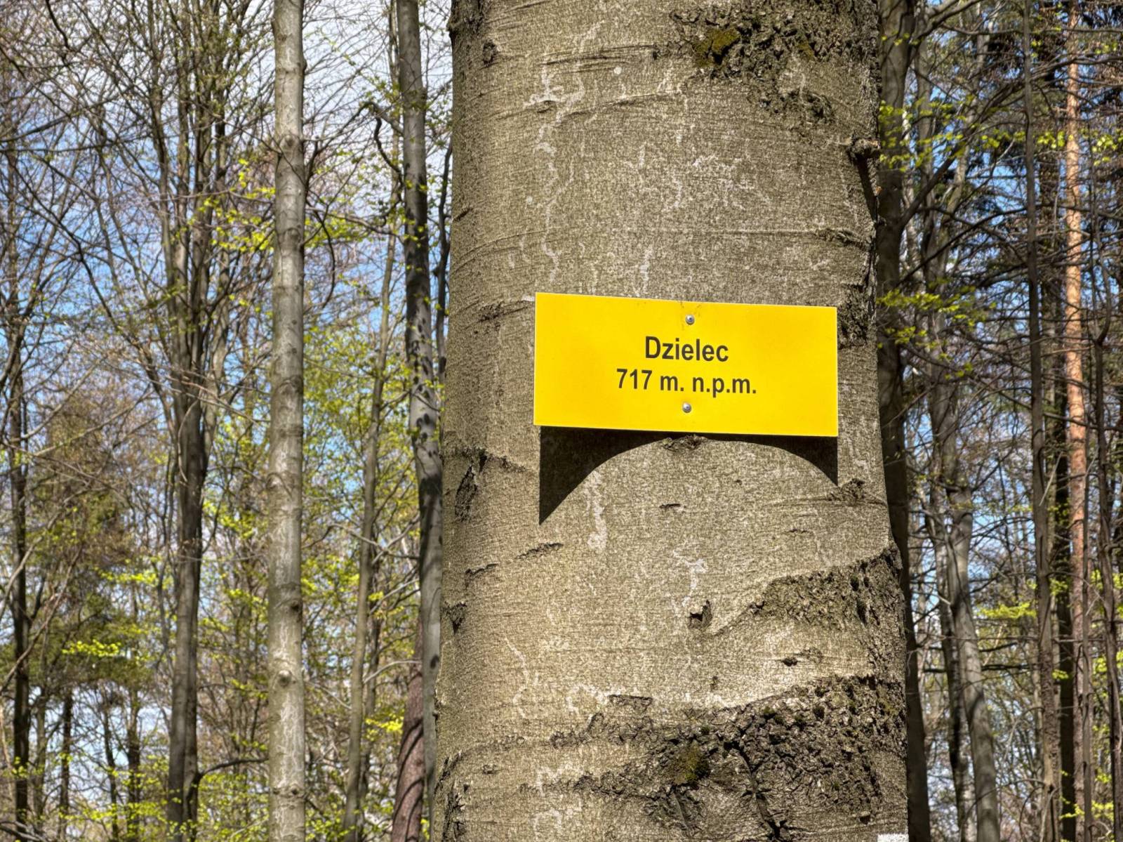 Zdjęcie 6