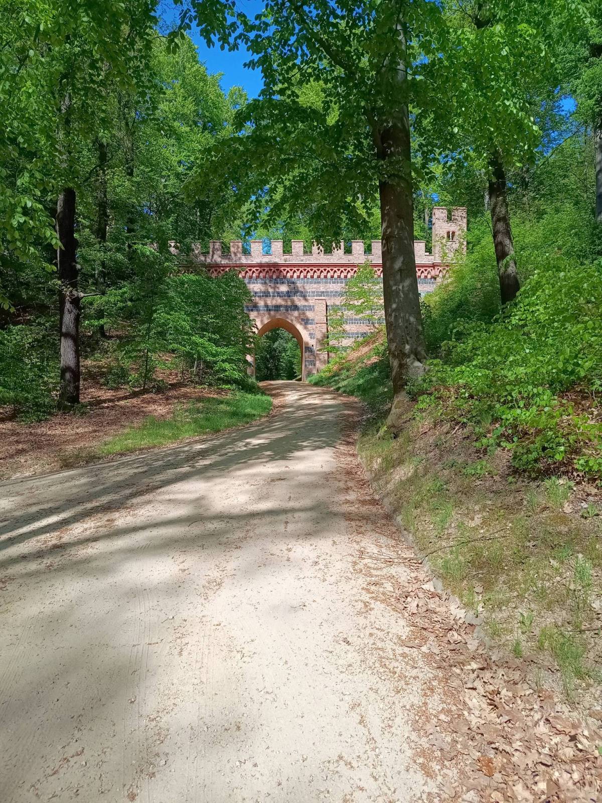 Zdjęcie 2