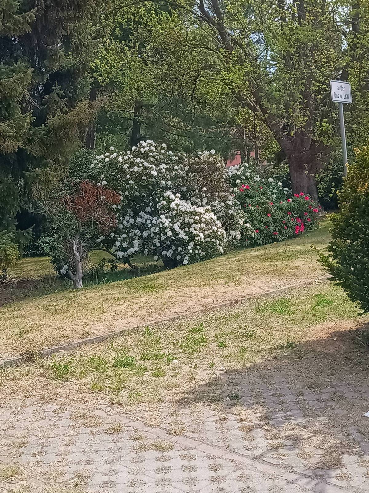 Zdjęcie 4