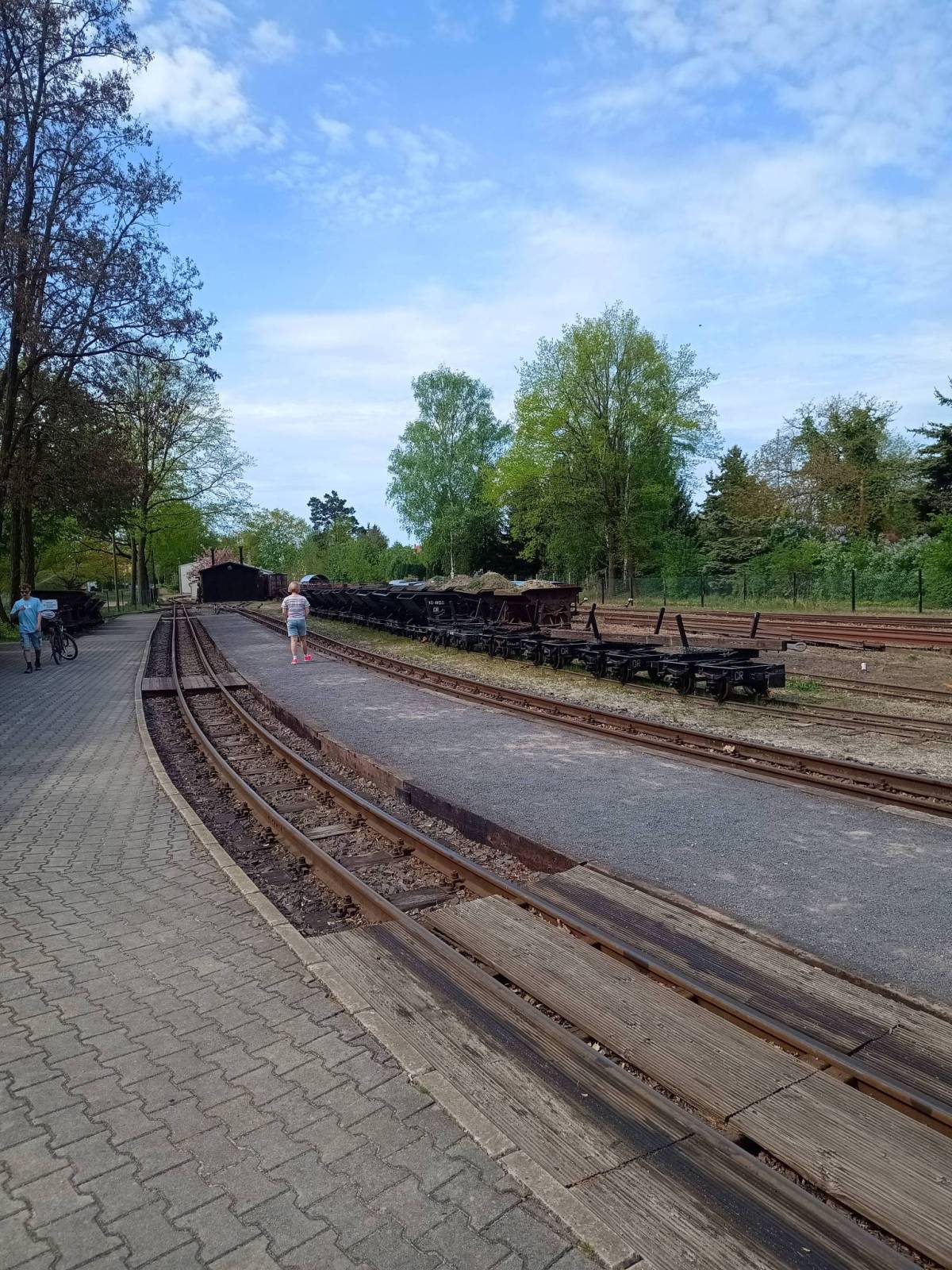 Zdjęcie 6