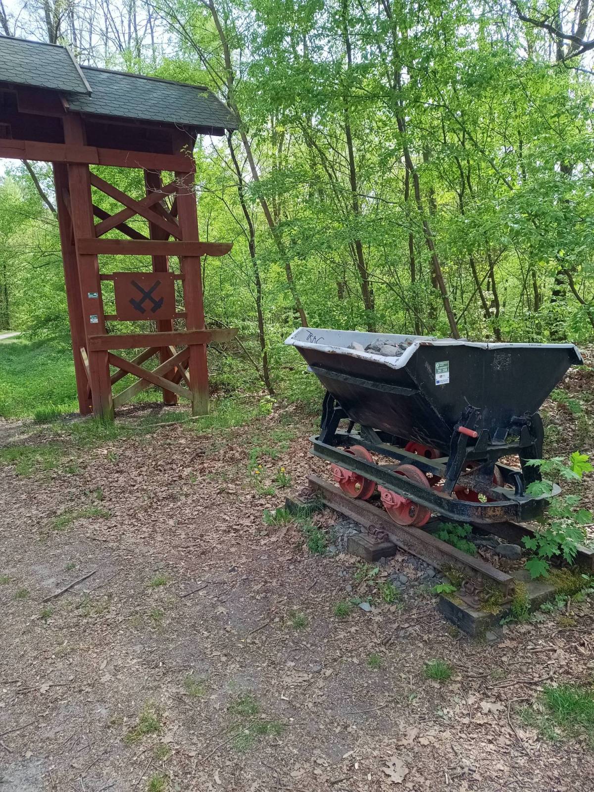 Zdjęcie 4
