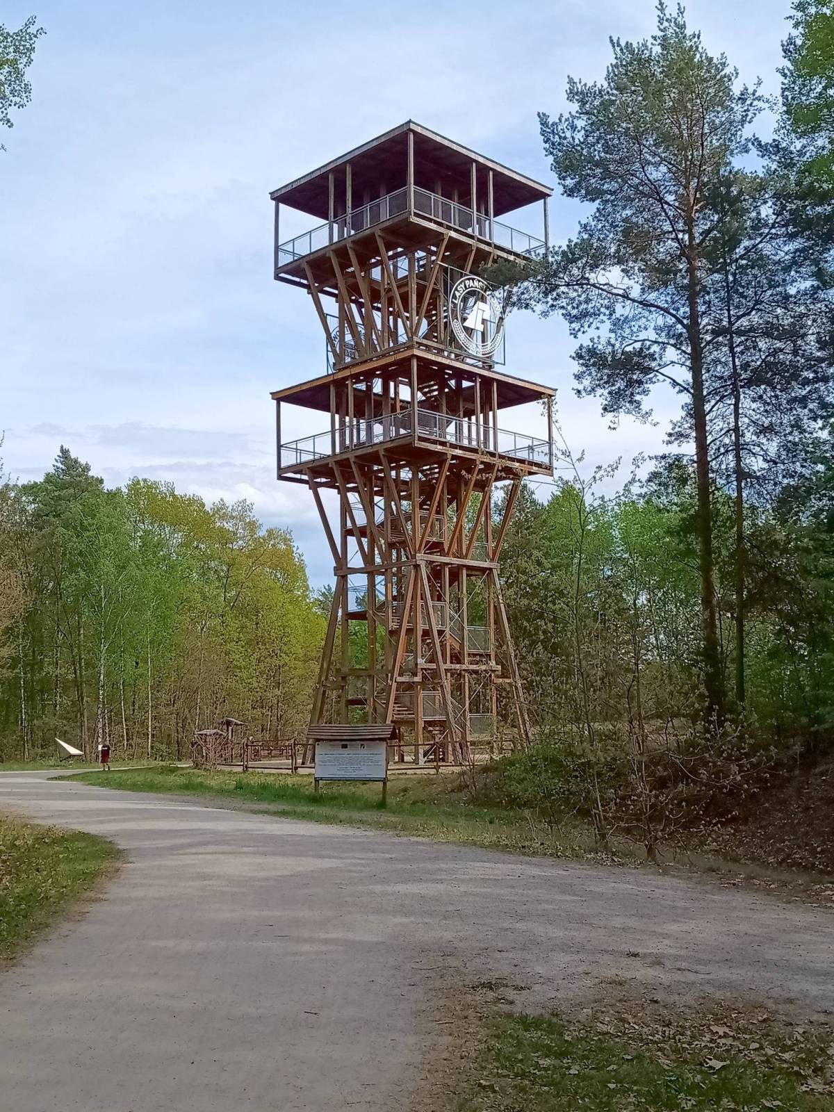 Zdjęcie 6