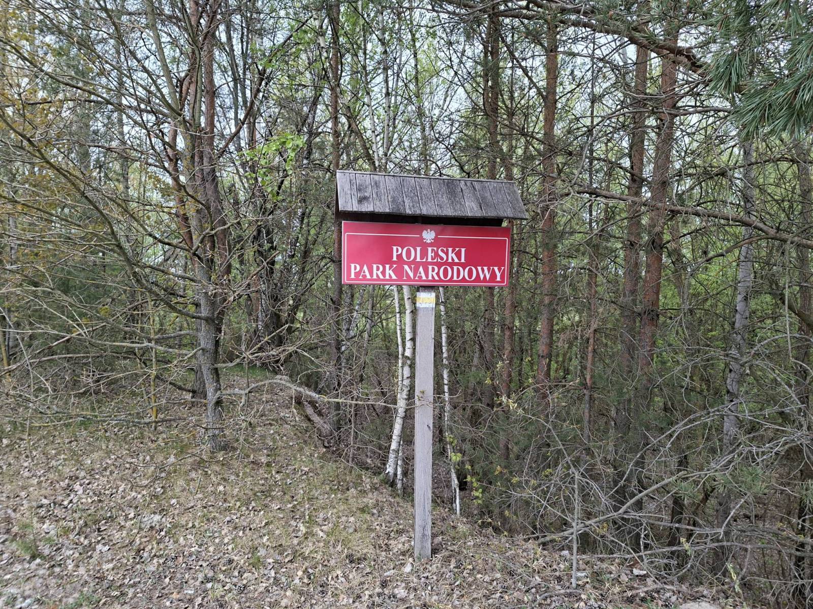 Zdjęcie 6
