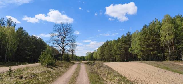 thumb-image