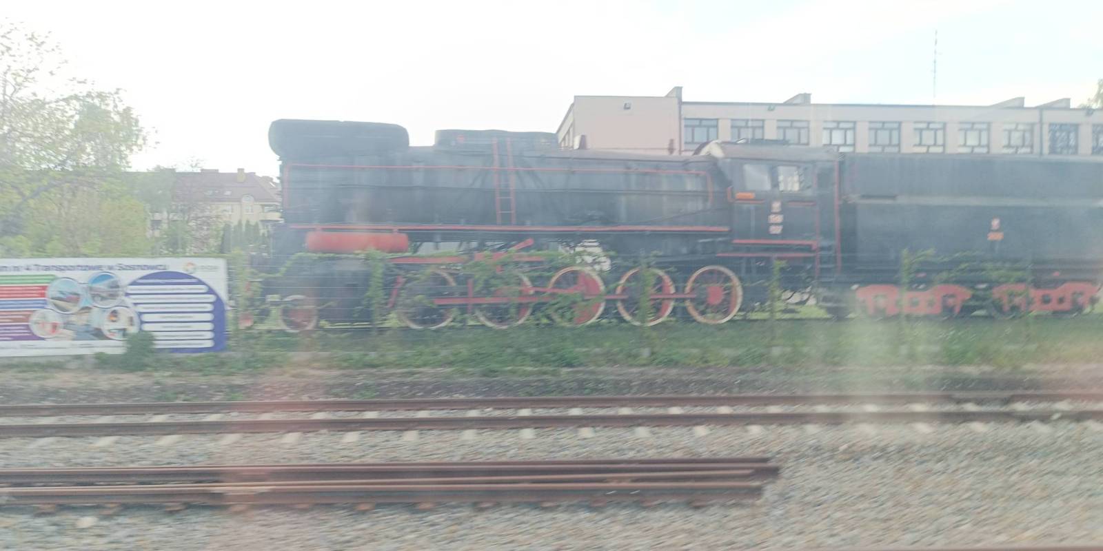 Zdjęcie 6