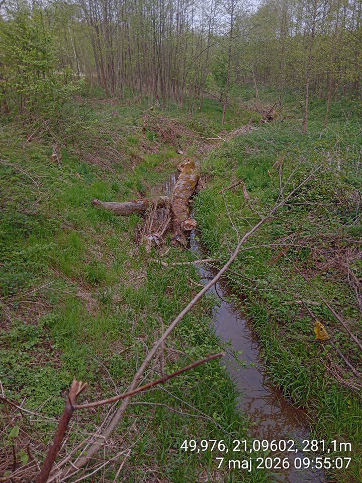 Zdjęcie 2