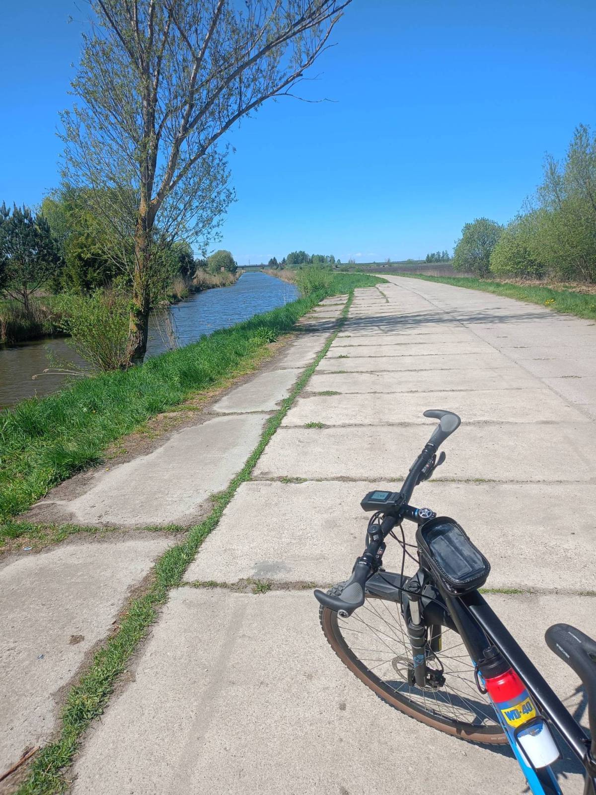 Zdjęcie 3