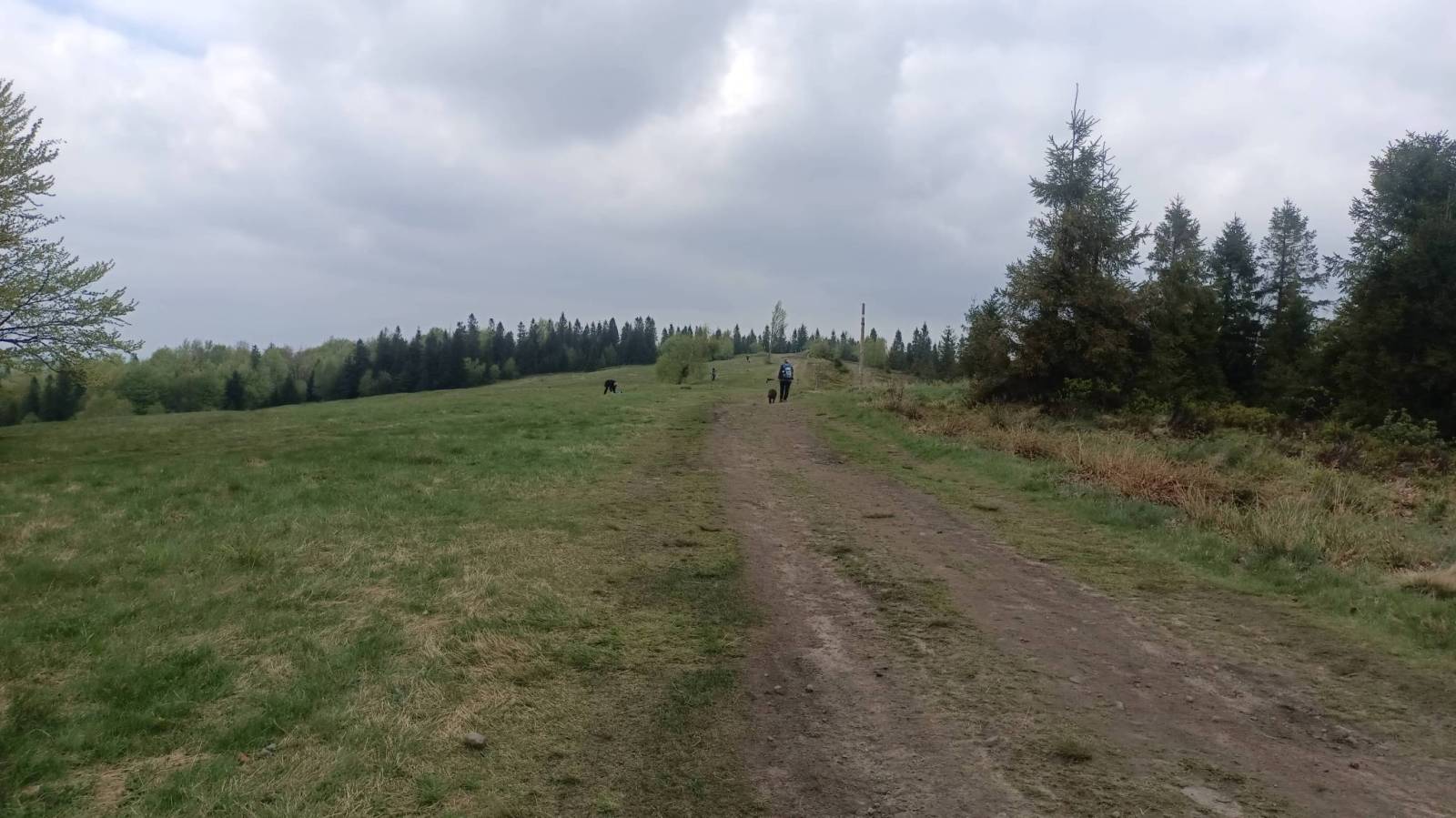 Zdjęcie 1