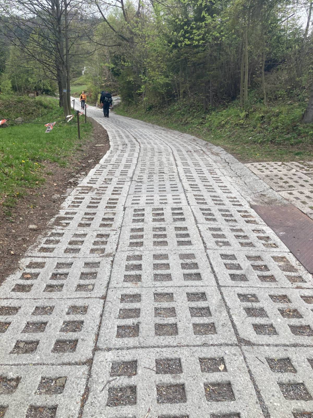 Zdjęcie 5