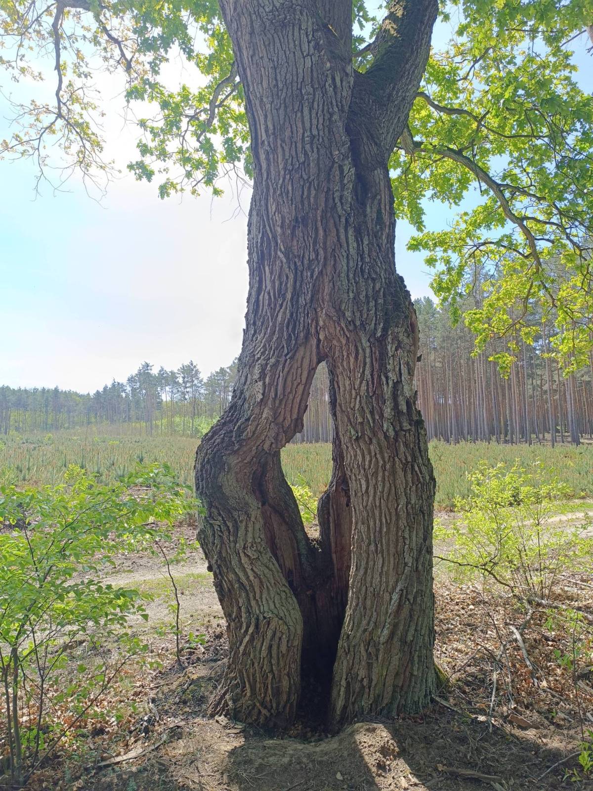 Zdjęcie 2