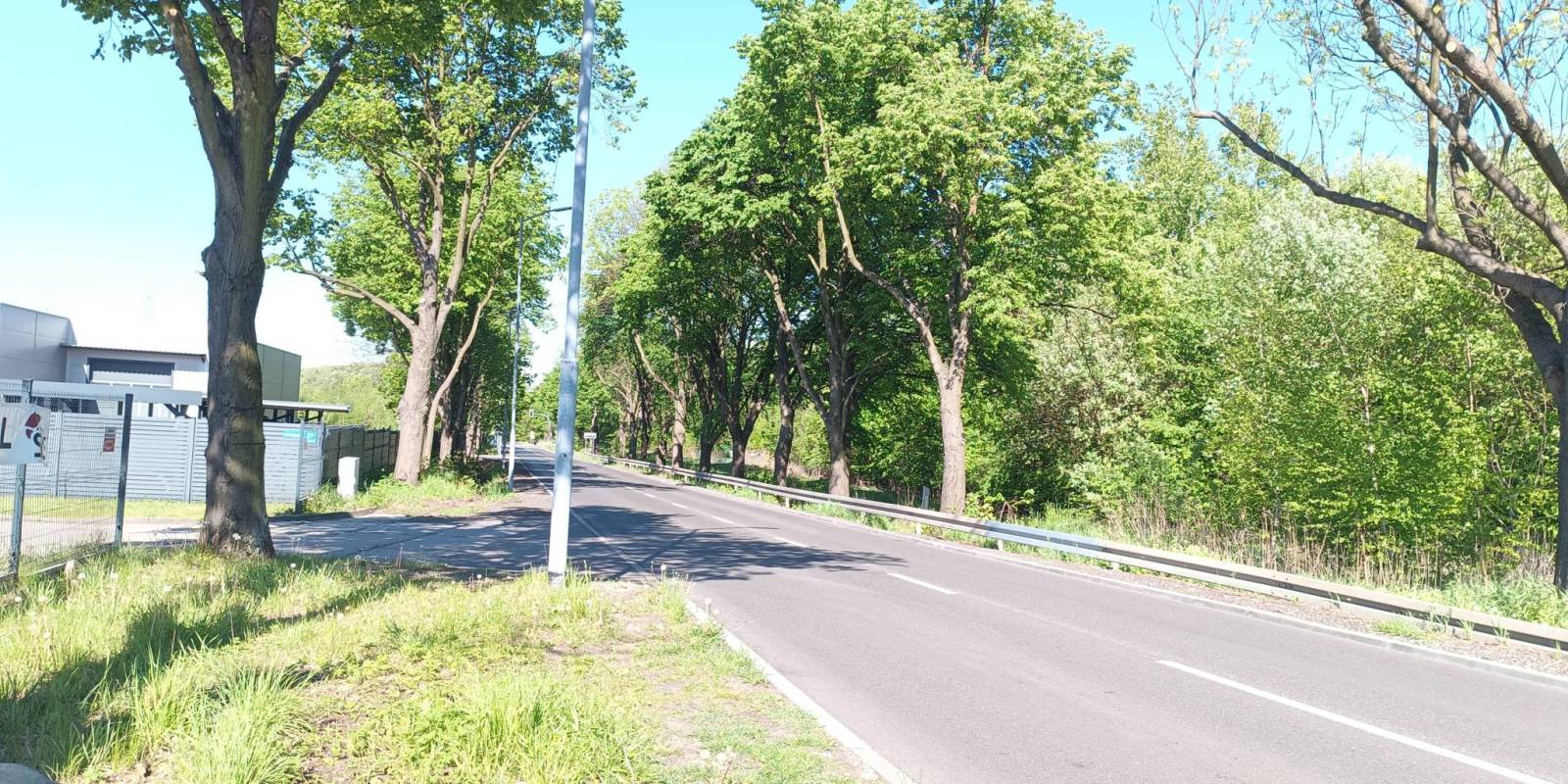 Zdjęcie 4