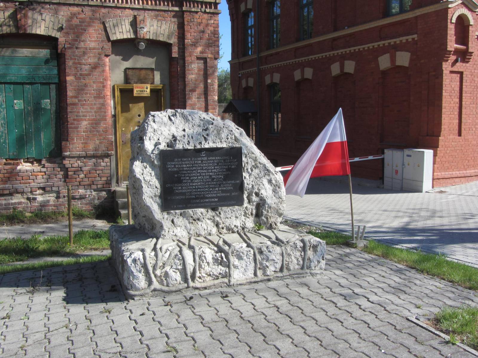 Zdjęcie 5