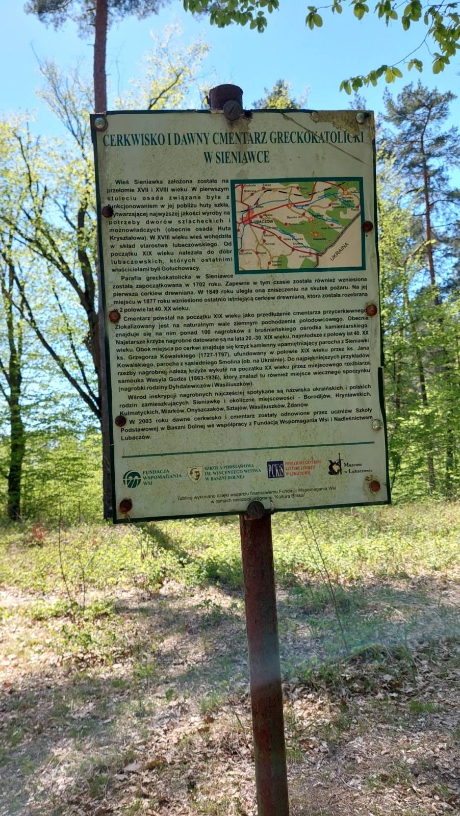Zdjęcie 6