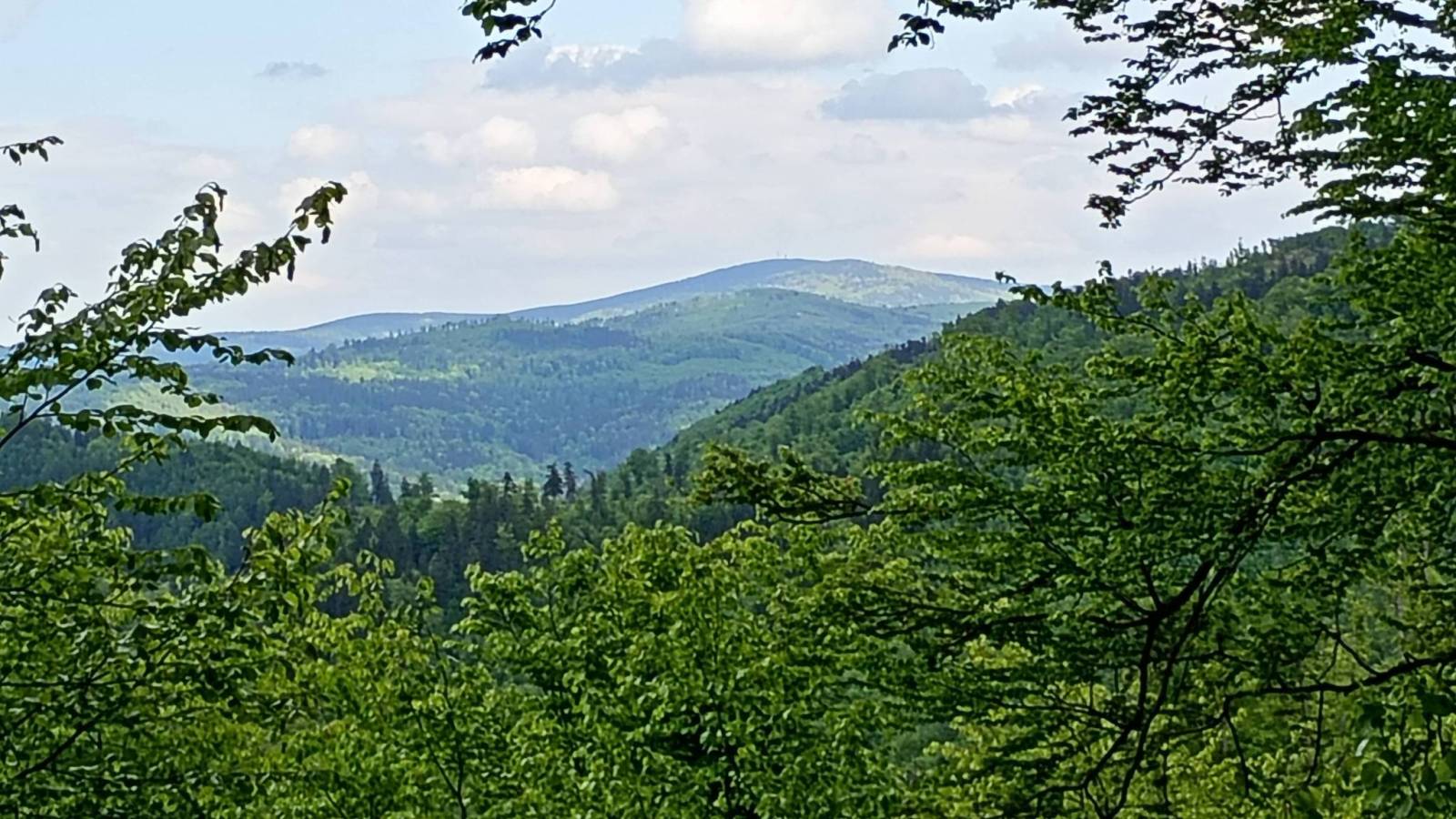 Zdjęcie 2