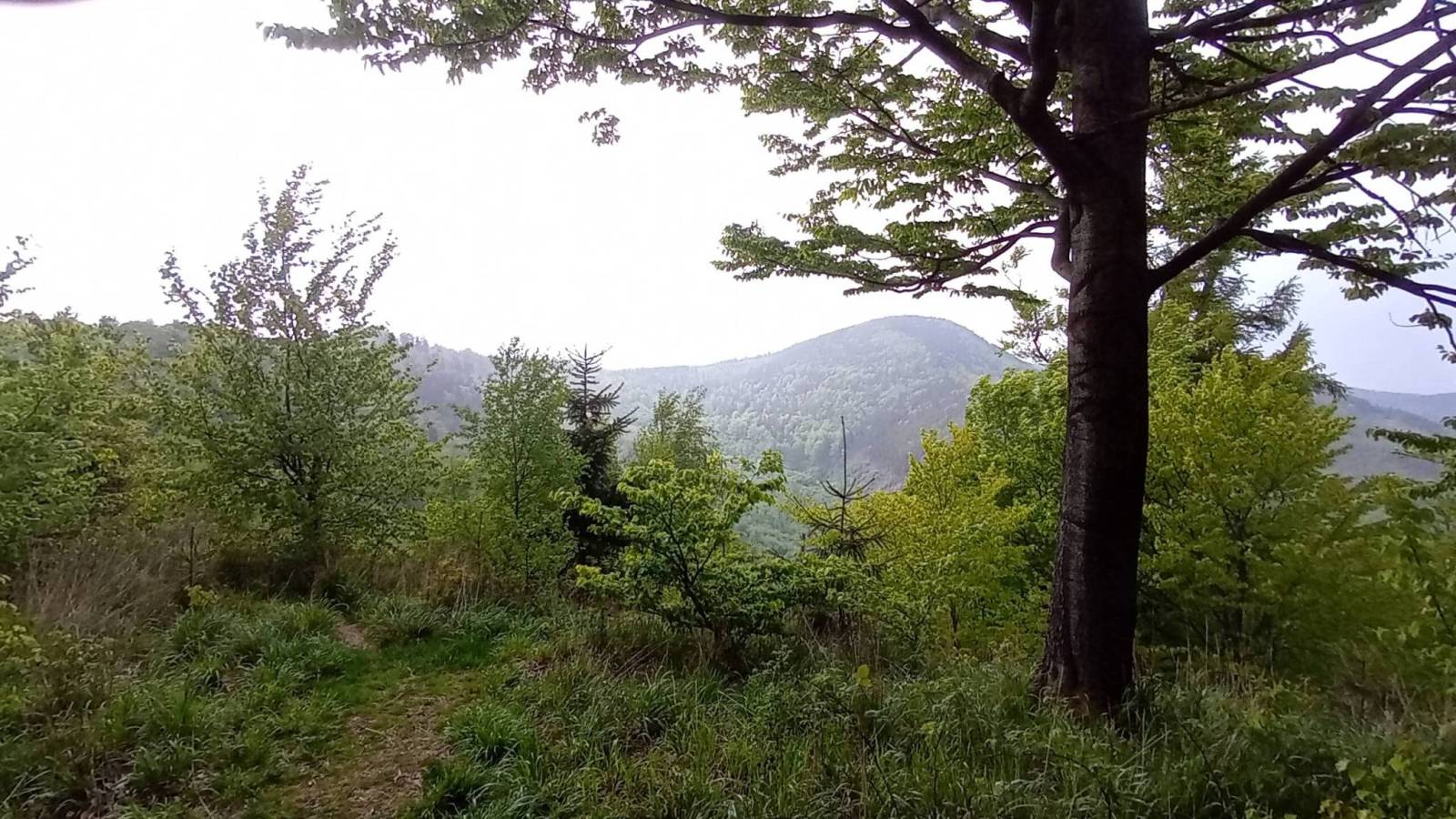 Zdjęcie 6