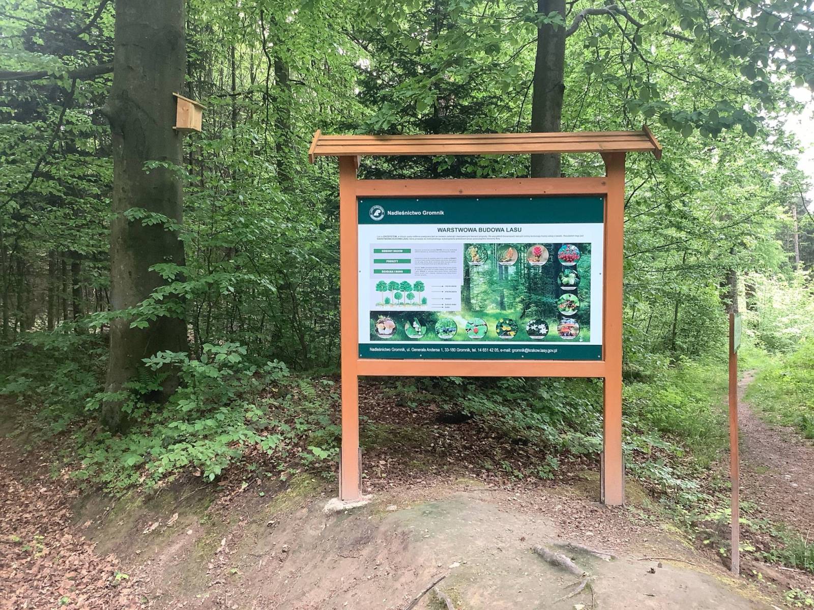 Zdjęcie 1