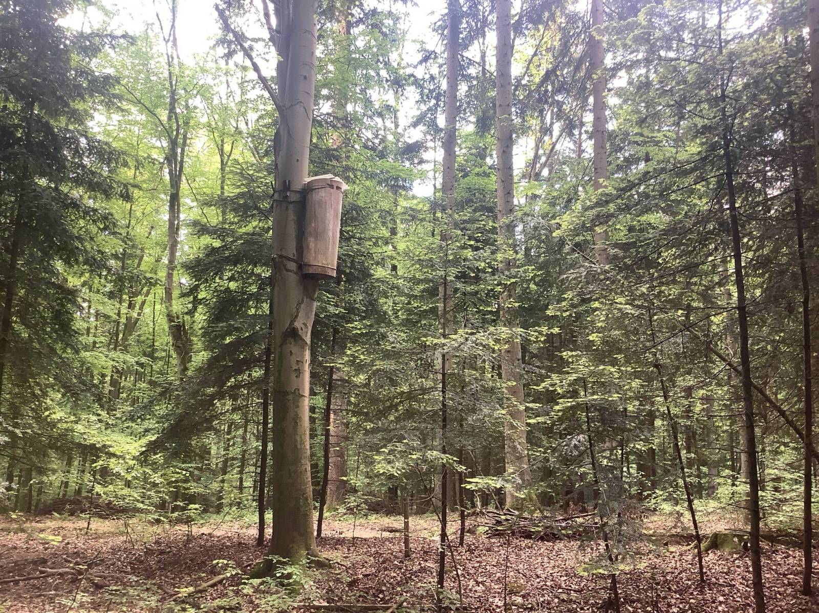 Zdjęcie 5