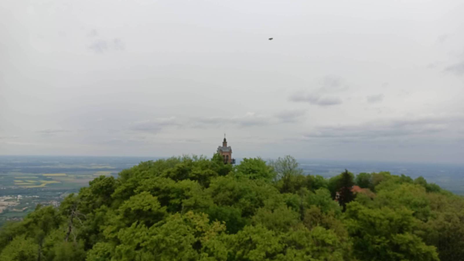 Zdjęcie 6