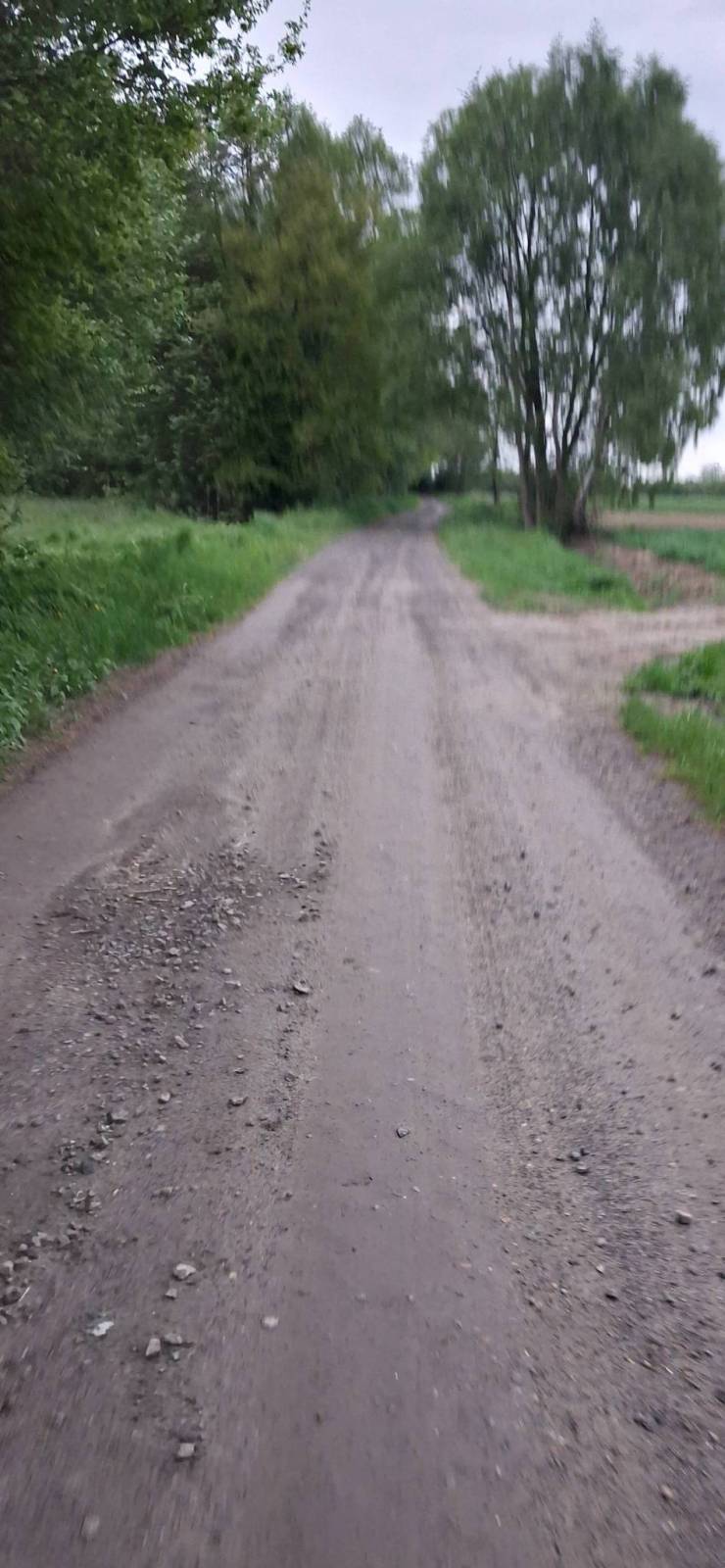 Zdjęcie 2