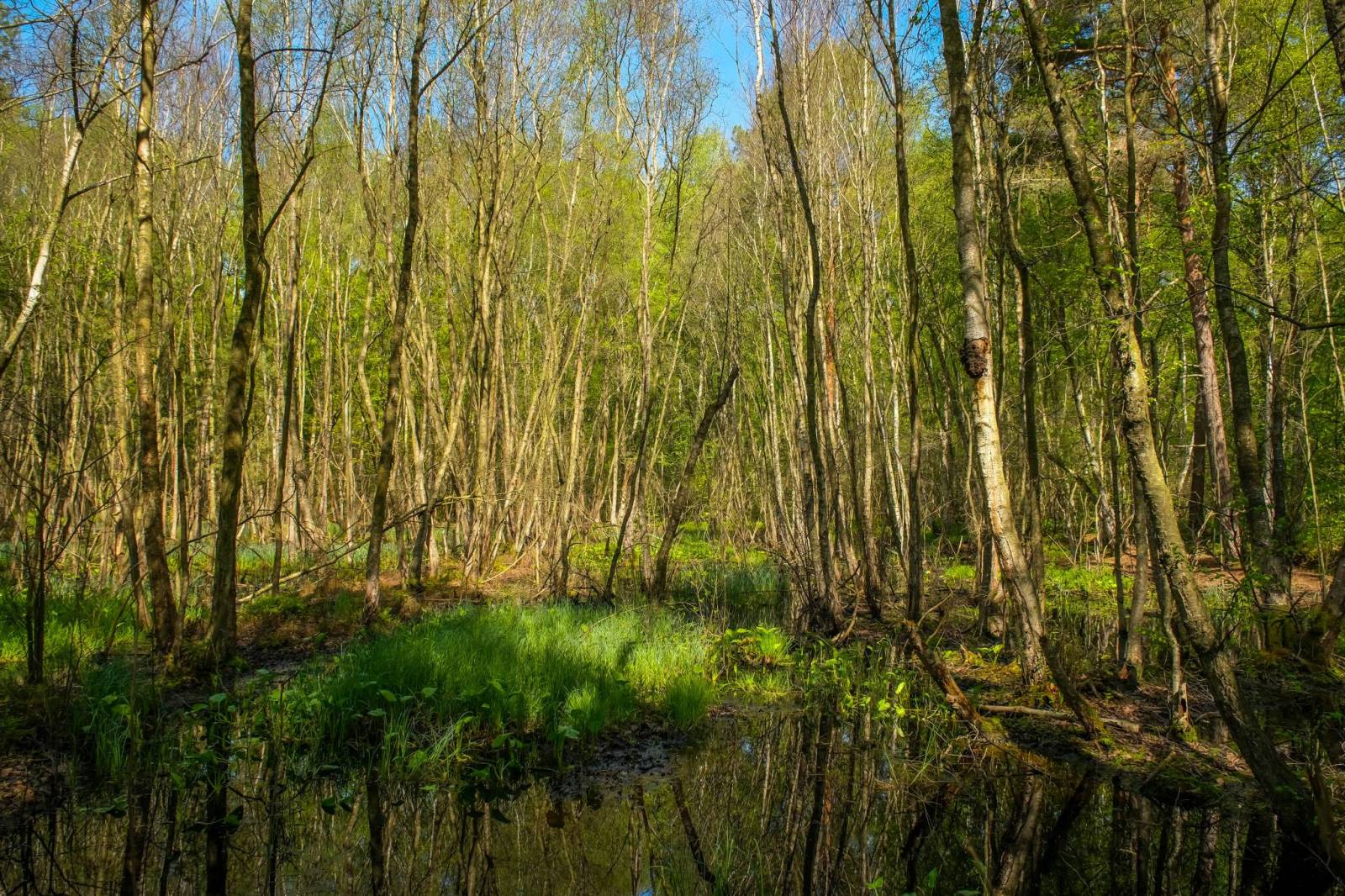 Zdjęcie 3