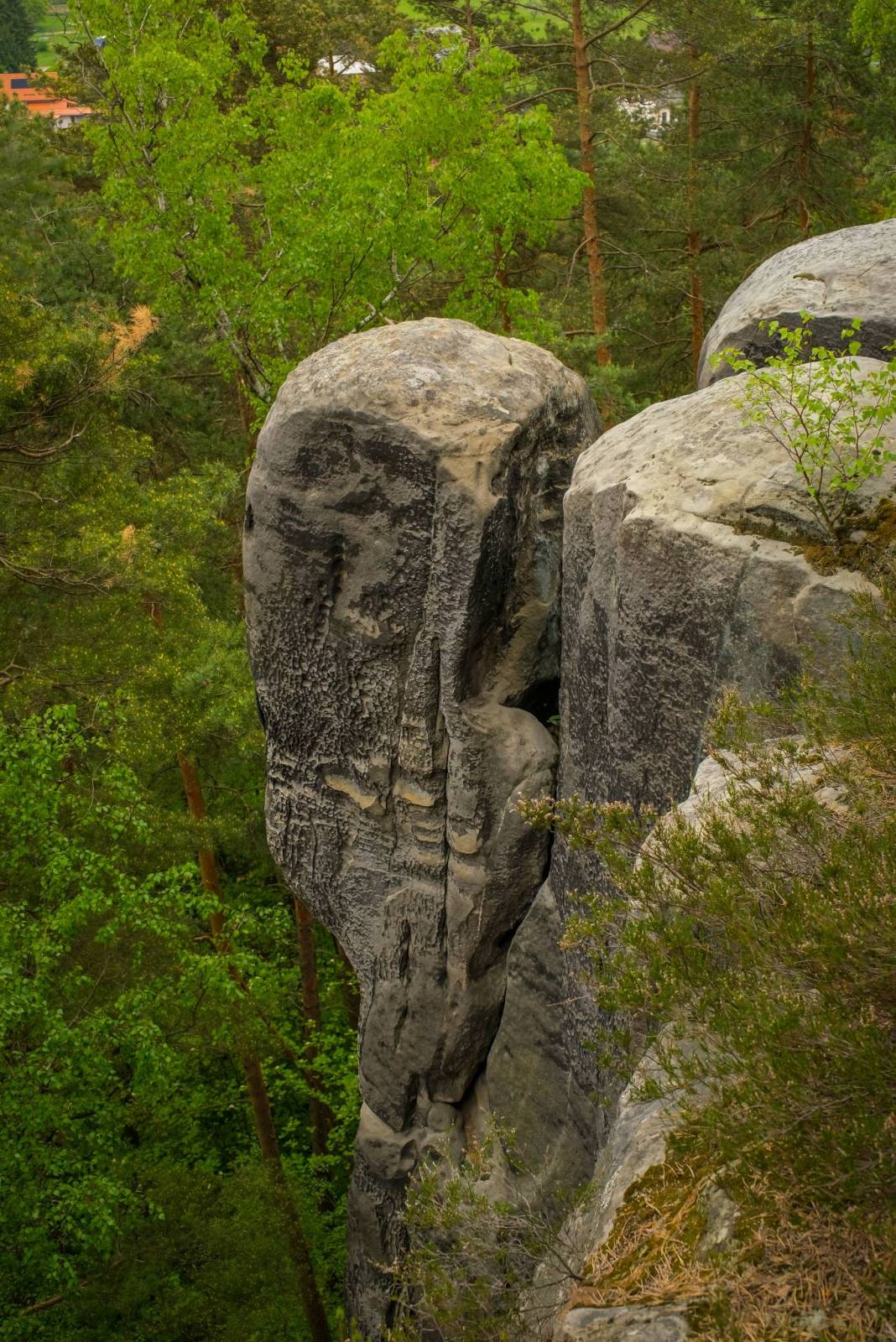 Zdjęcie 4