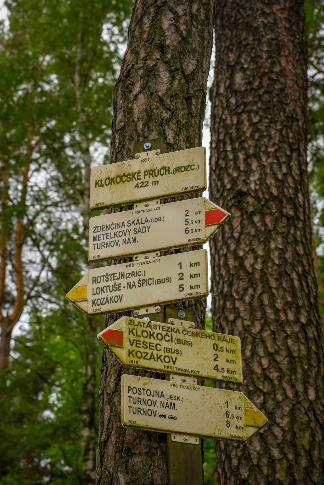 Zdjęcie 6