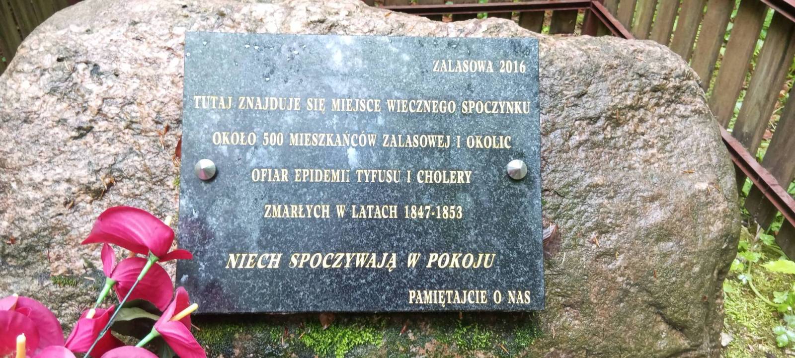 Zdjęcie 3