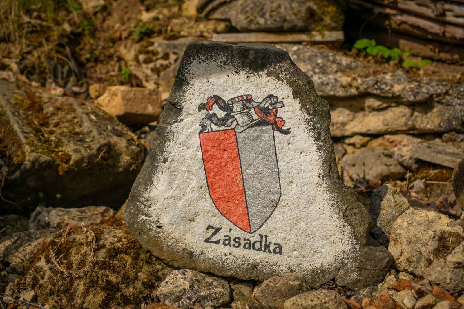 Zdjęcie 1