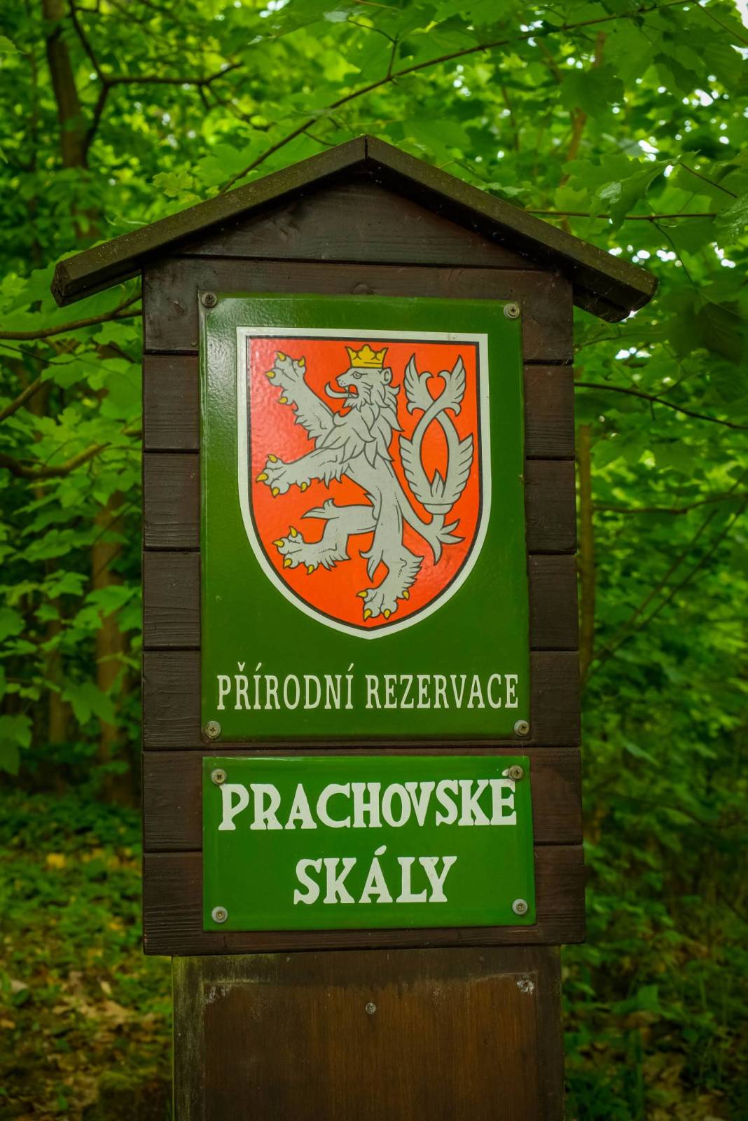 Zdjęcie 3