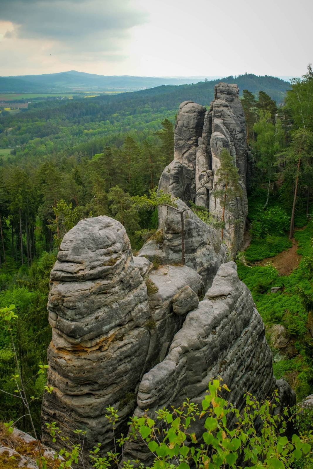 Zdjęcie 6