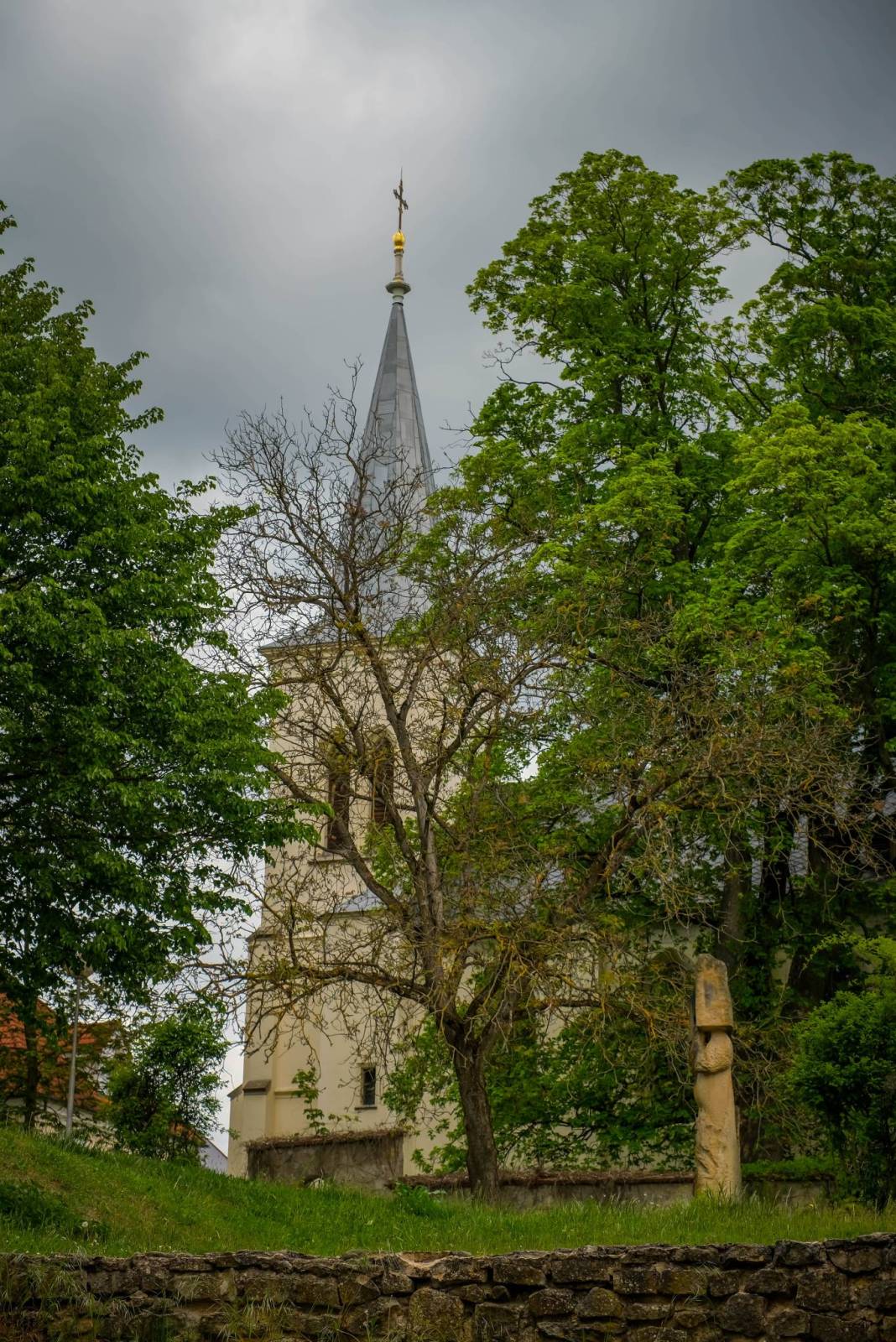 Zdjęcie 6