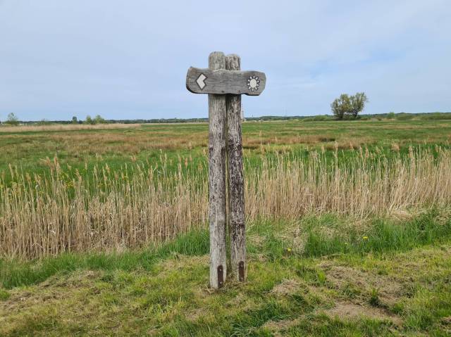 thumb-image