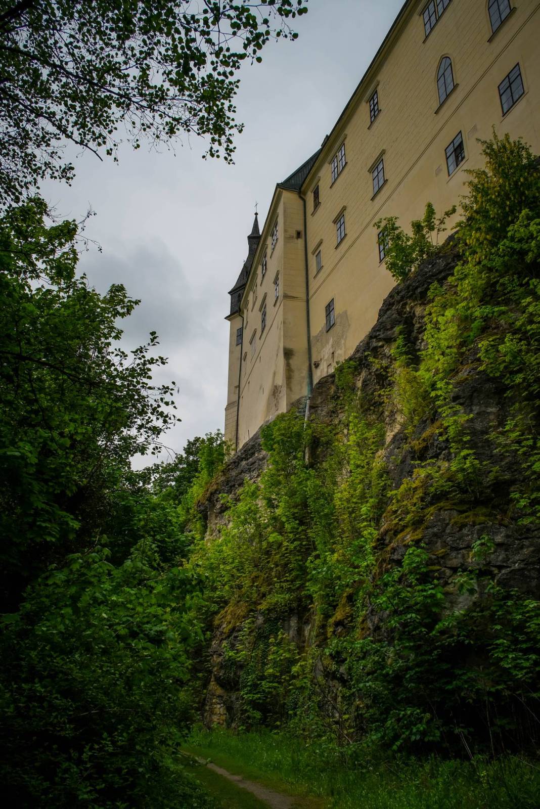 Zdjęcie 5