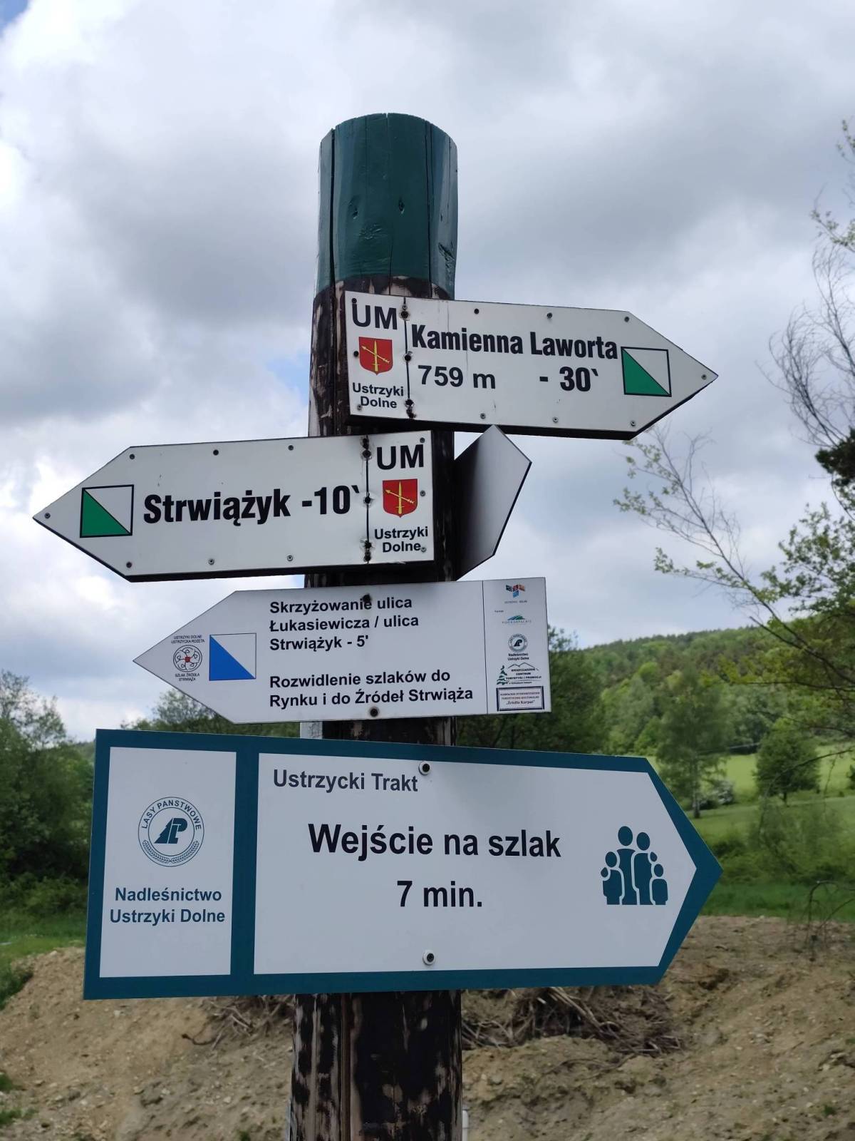 Zdjęcie 5