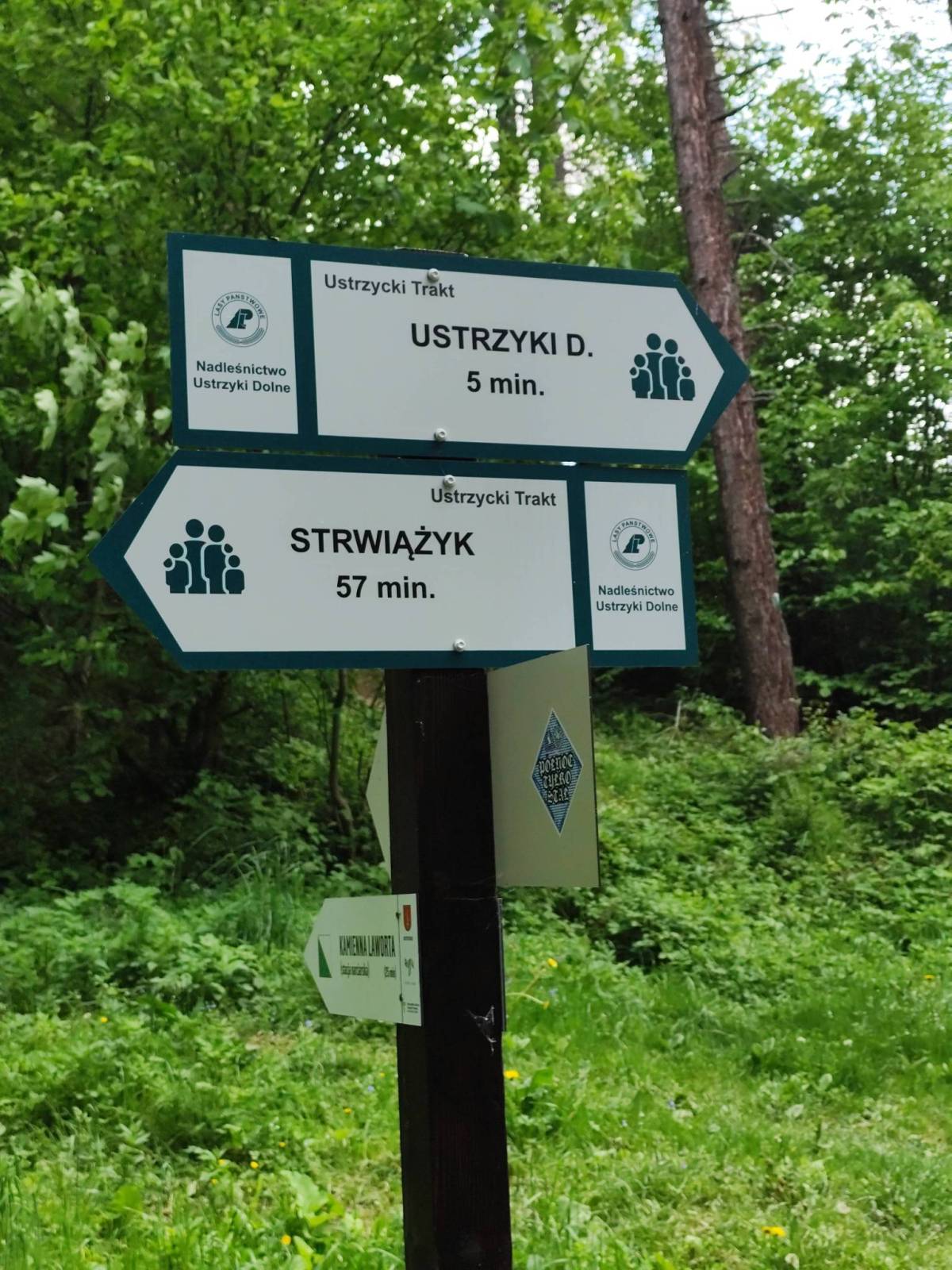 Zdjęcie 2